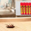 Как избавиться от появившихся тараканов? Народные способы или вызов специалиста?